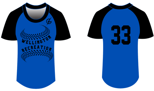 Blue Short Sleeve Jersey with Black Sleeves