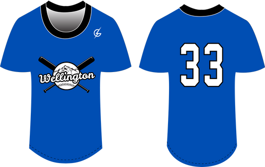 Short Sleeve V- Neck Jersey